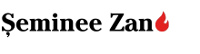 seminee-zan-logo (1).png